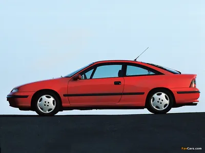 Auction and sale of 1994 OPEL CALIBRA V6 model - SoulAuto