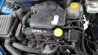 Opel Corsa B 1.0 бензиновый 1999 | трудяга и помощник на DRIVE2
