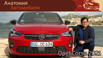 Opel Corsa, лучшая машина для новичка - Отзыв владельца автомобиля Opel  Corsa 2003 года ( C Рестайлинг ): 1.2 MT (75 л.с.) | Авто.ру