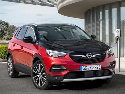 Opel в России: модели и начало продаж в 2019 году - Лахта Моторс