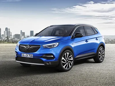 Возвращение Opel: в каких городах можно купить новинки немецкой марки -  Российская газета