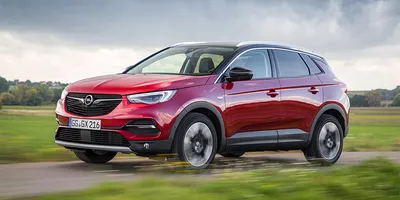 Opel вернулся в Россию: модели, цены, комплектации, дилеры :: Autonews