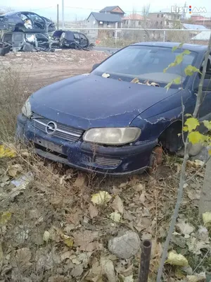 Opel Omega 1998 from Germany – PLC Auction