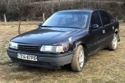 Opel Vectra A, 1993 г., бензин, механика, купить в Минске - фото,  характеристики. av.by — объявления о продаже автомобилей. 20185318