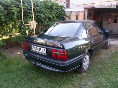 Opel vectra cdx 1995 — DRIVE2