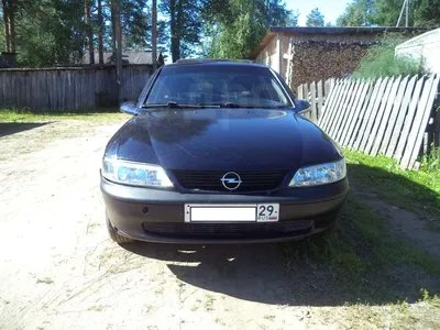 Opel Vectra B, 1998 г., бензин, механика, купить в Калинковичах - фото,  характеристики. av.by — объявления о продаже автомобилей. 18666087
