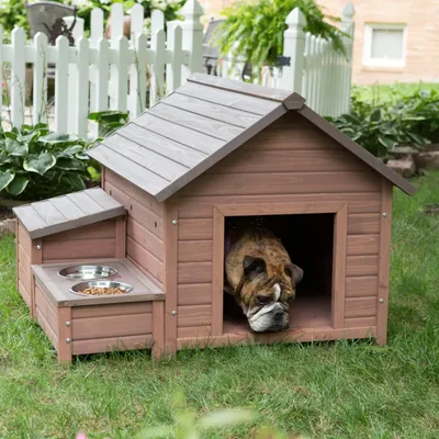 Элитные будки для собак. Красивые домики для собак из дерева