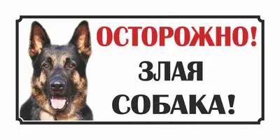Табличка ПВХ информационный знак «Осторожно Злая Собака» АБК-СИЛА 200x200мм  5шт 560411 - выгодная цена, отзывы, характеристики, фото - купить в Москве  и РФ