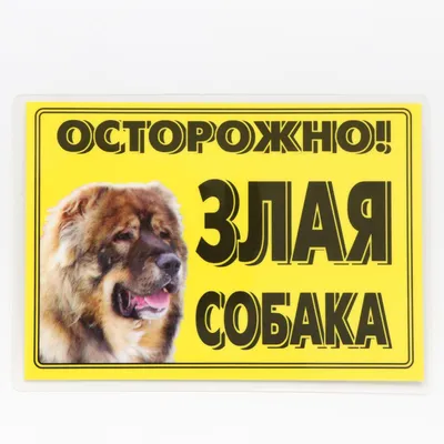 Купить Табличка Осторожно злая собака 300х200мм артикул 8785 недорого в  Украине с доставкой