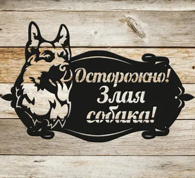 Табличка ламинированая \"Осторожно! Злая собака\" Кавказец (7347089) - Купить  по цене от 47.00 руб. | Интернет магазин SIMA-LAND.RU