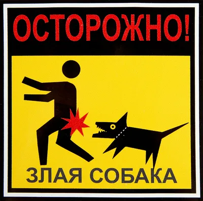 Табличка «Осторожно! Злая собака» по цене 158 ₽/шт. купить в Калининграде в  интернет-магазине Леруа Мерлен