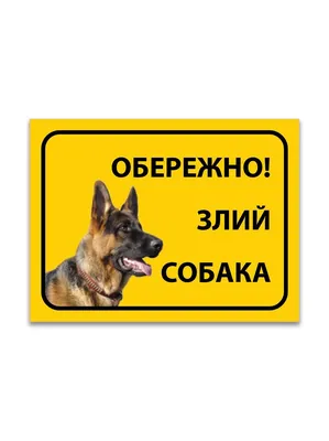 Табличка «Осторожно злая собака», купить в Екатеринбурге — vyveski66.ru