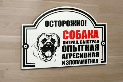 Табличка \"Осторожно, злая собака\". 300х200 мм | AliExpress
