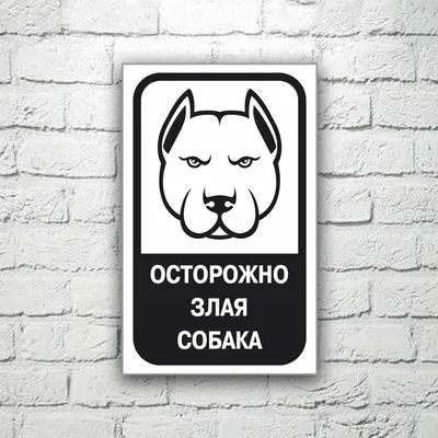Табличка, Злая собака, Осторожно злые собаки, на металлической основе, 30см  х 14 см, на забор, на дверь, 30 см, 15 см - купить в интернет-магазине OZON  по выгодной цене (884384765)