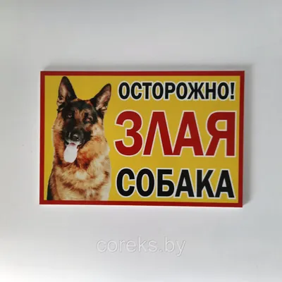Табличка \"Осторожно злая собака!\", пластик. (ID#1496974394), цена: 160 ₴,  купить на Prom.ua