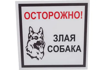 Табличка Осторожно! Злая Собака по цене 193 ₽, купить в зоомагазине  АстВетМаркет