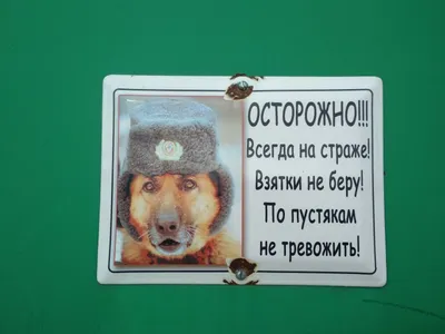 Злая собака наклейка (ID#119066483), цена: 15 руб., купить на Deal.by
