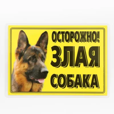 Купить табличка Дарэлл \"Осторожно! Злая собака\", формат А4, 30,3 х 21,6 см,  цены на Мегамаркет | Артикул: 100023032639