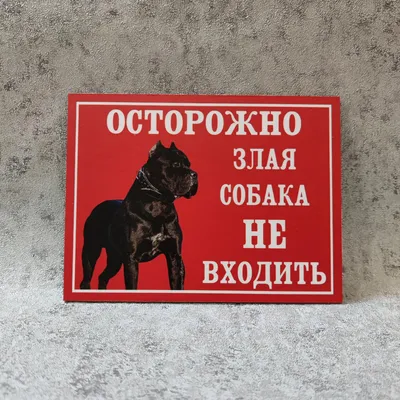 Табличка Осторожно, злая собака на забор ворота с креплением Armis 17868230  купить в интернет-магазине Wildberries