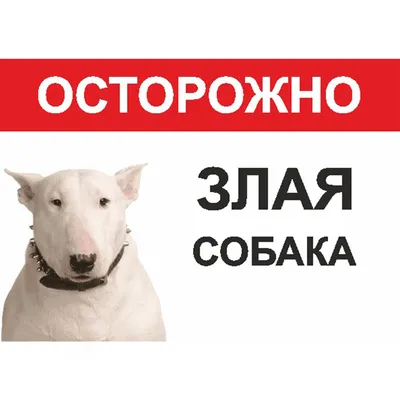 Знак, наклейка \" Осторожно злая собака \", 150х150 мм, комплект из 5 шт. —  купить в интернет-магазине по низкой цене на Яндекс Маркете