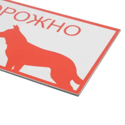 Купить табличка осторожно злая собака 300х200 мм артикул 8906 недорого в  Украине с доставкой