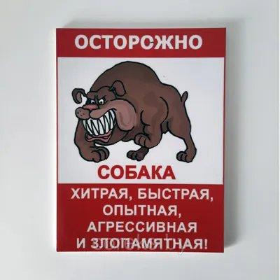 Купить Табличка \"Осторожно, злая собака\" цвет в ассортименте, круглая в  интернет магазине Металлпрогресс