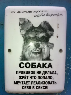 Табличка \"Осторожно злая собака\" №8 ( 20*25 см) (ID#150653740), цена: 13  руб., купить на Deal.by