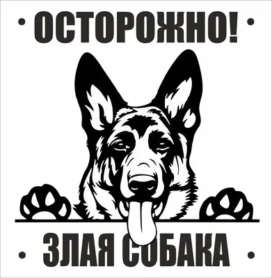 Табличка \"Осторожно, злая собака\". 300х200 мм | AliExpress
