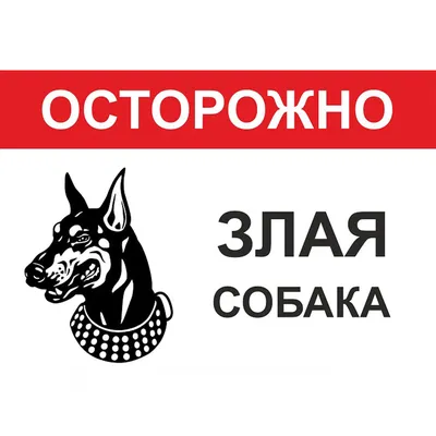 Таблички Злая собака купить в Минске, нанесение логотипа - Graver.By