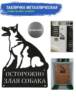 Табличка Осторожно злая собака - купить в Москве, цены на Мегамаркет
