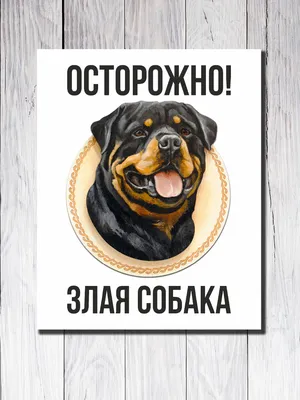 Табличка \"Осторожно! Злая собака\" Стандарт Знак, 200x200 мм, пластик 2 мм  00-00037981 - выгодная цена, отзывы, характеристики, фото - купить в Москве  и РФ