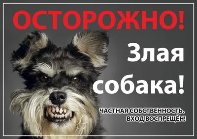 Табличка \"Осторожно злая собака!\"