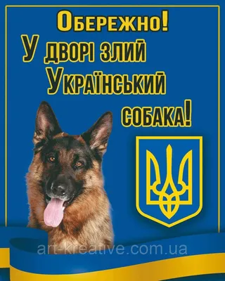Табличка осторожно злая собака: шаблоны, примеры макетов и дизайна, фото