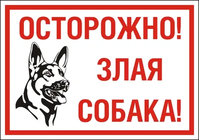 Табличка \"Осторожно Злая Собака купить в Москве цена 300 Р на DIRECTLOT.RU  - Предметы благоустройства продам