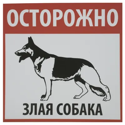 Купить табличку «Осторожно, злая собака» желтую за ✓ 65 руб.