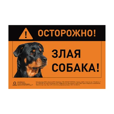 Табличка Осторожно злая собака