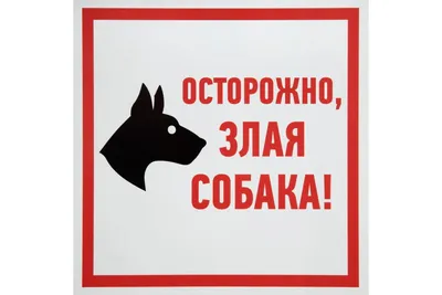 Табличка «Осторожно! Злая собака» по цене 165 ₽/шт. купить в Москве в  интернет-магазине Леруа Мерлен