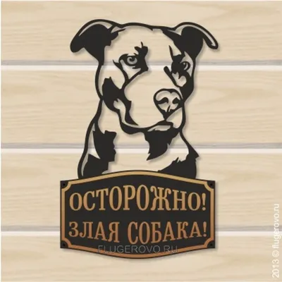 Табличка Злая собака от интернет-магазина Таблички - tablichkispb.ru