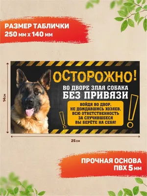 Купить Табличка \"Осторожно, злая собака\" цвет в ассортименте, круглая в  интернет магазине Металлпрогресс