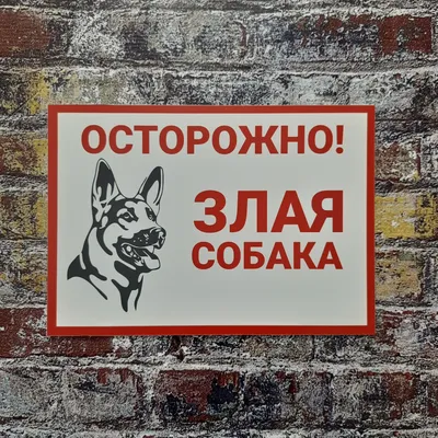 Табличка ПВХ информационный знак «Осторожно Злая Собака» АБК-СИЛА 200x200мм  5шт 560411 - выгодная цена, отзывы, характеристики, фото - купить в Москве  и РФ