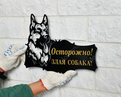 Табличка Осторожно, злая собака 200х200мм купить с доставкой в МЕГАСТРОЙ  Стерлитамак