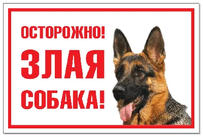 Табличка \"Осторожно злая собака!\" ротвейлер 14*21см купить, цена в  интернет-магазине \"Багира\" Симферополь, Крым