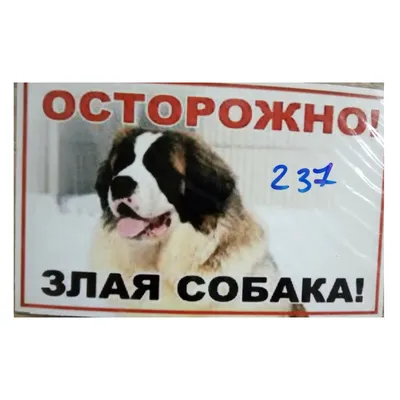 Табличка \"Осторожно!Злая собака\" №24 (25*15 см): продажа, цена в Слониме.  Знаки и таблички безопасности от \"Рекламное агентство \"Корекс\"\" - 172322902