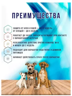 Купить Антипаразитарные капли на холку для щенков и собак с маслом чайного  дерева и корейской хризантемой в Иркутске