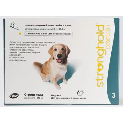 Таблетки от внешних и внутренних паразитов ЭКОПРОМ INSPECTOR QUADRO для  кошек и собак весом более 16кг купить в Москве в зоомагазине, цены - Сами с  Усами