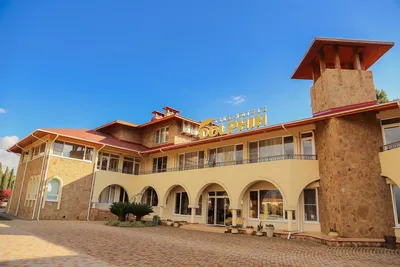 Клубный отель «Дельфин» Абхазия (Пицунда) - забронировать номер.  Официальный сайт Travel NEWS LTD.