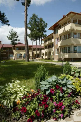 Клубный Отель Дельфин 0* (Пицунда, Абхазия), забронировать тур в отель –  цены 2024, отзывы, фото номеров, рейтинг отеля.