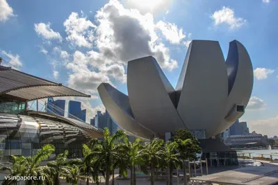 Отзыв о Отель Marina Bay Sands 5* (Сингапур) | Футуристическая мечта