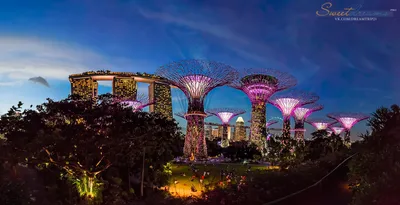 Достопримечательности Сингапура, красивые места страны, лучшие отели в  Сингапуре