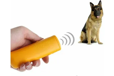 Ультразвуковой отпугиватель собак с функцией тренировки Beroma 07700572 -  выгодная цена, отзывы, характеристики, фото - купить в Москве и РФ